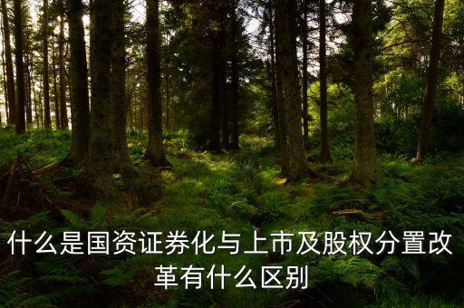 什么是國資證券化與上市及股權(quán)分置改革有什么區(qū)別
