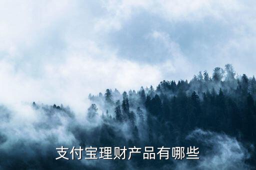 支付寶理財(cái)產(chǎn)品有哪些