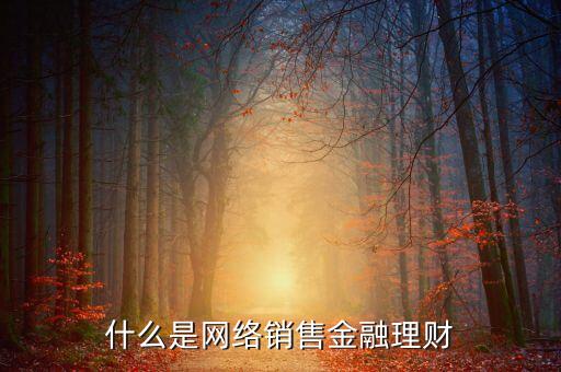 網(wǎng)絡(luò)銷售金融是什么，剛接到一家金融投資公司的面試通知請問金融投資公司網(wǎng)絡(luò)銷售主要