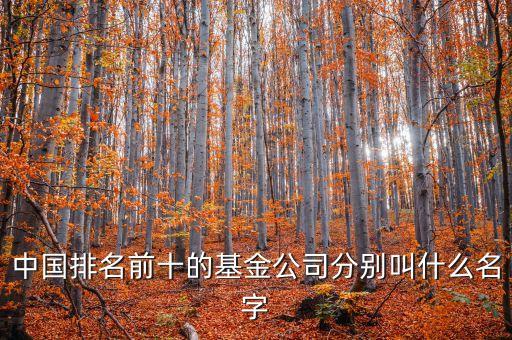 關(guān)于基金股權(quán)公司起什么名字好，基金公司起名
