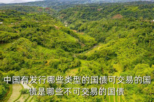 中國有發(fā)行哪些類型的國債可交易的國債是哪些不可交易的國債