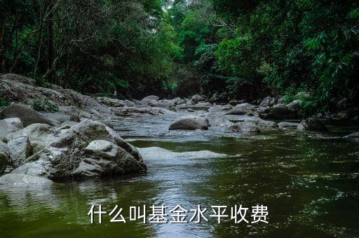 什么叫基金水平收費