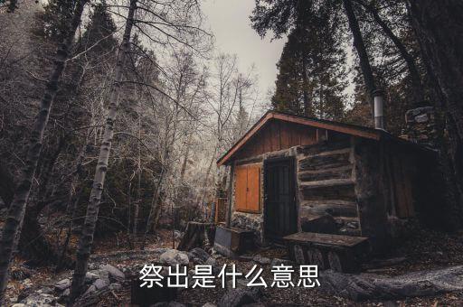 祭出重拳什么意思，重拳是甚么意思