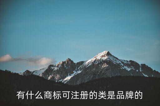 劉陽(yáng)的全盛集團(tuán)的注冊(cè)商標(biāo)是什么，有什么商標(biāo)可注冊(cè)的類是品牌的