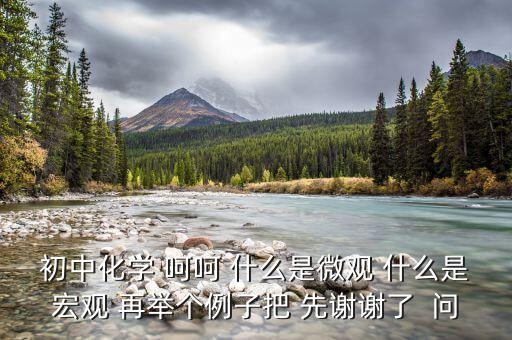 什么是宏觀事實(shí)，初中化學(xué) 呵呵 什么是微觀 什么是宏觀 再舉個(gè)例子把 先謝謝了  問(wèn)