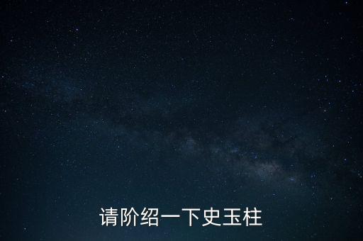 請階紹一下史玉柱