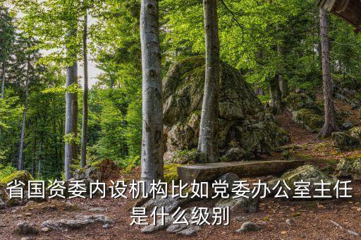 省國資委內(nèi)設(shè)機(jī)構(gòu)比如黨委辦公室主任是什么級別