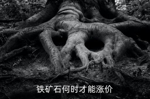 鐵礦石何時(shí)才能漲價(jià)