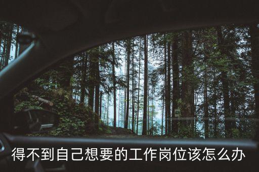 tcl老總為什么坐牢，得不到自己想要的工作崗位該怎么辦