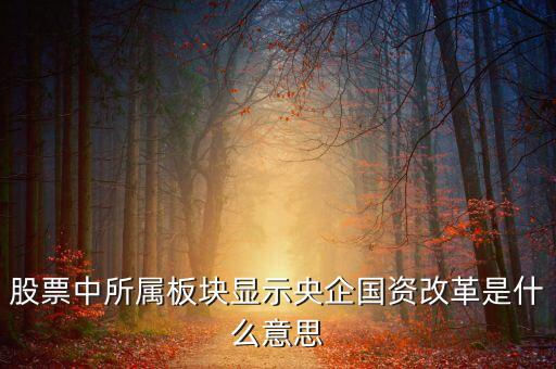 什么是國資改革，股票中所屬板塊顯示央企國資改革是什么意思