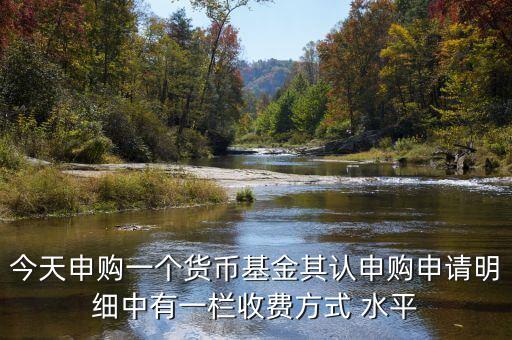 基金收費顯示平均收費是什么意思，今天申購一個貨幣基金其認申購申請明細中有一欄收費方式 水平