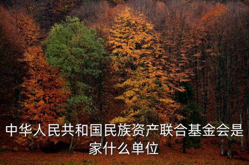 anc基金會是什么，中華人民共和國民族資產(chǎn)聯(lián)合基金會是家什么單位