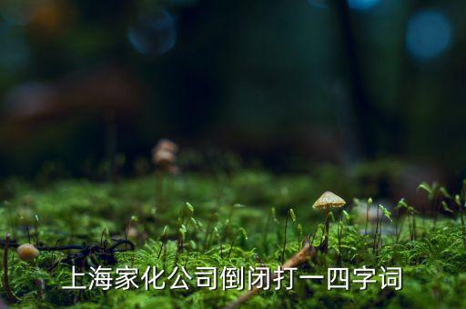 上海家化為什么要退市，上海家化的前身是什么