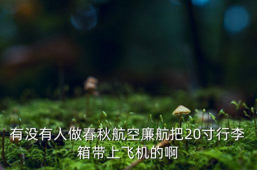 春秋廉航是什么意思，春秋航空晚點(diǎn)8個(gè)小時(shí)不予賠償損失如何解釋