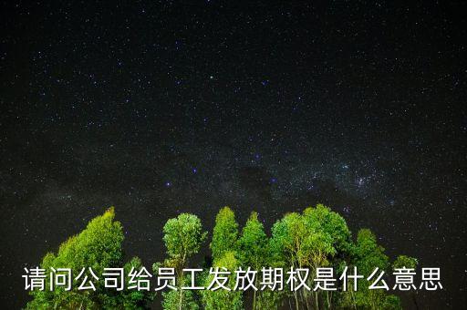 公司發(fā)期權(quán)是什么，公司期權(quán)是什么