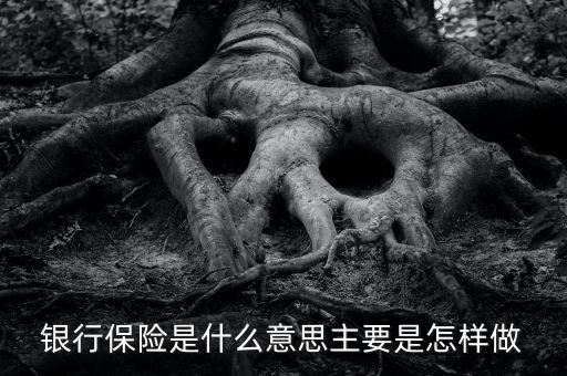 銀行保險是什么意思主要是怎樣做