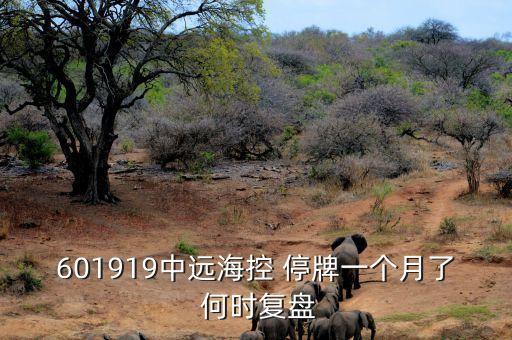 601919什么時(shí)候復(fù)牌，601919中遠(yuǎn)?？?停牌一個(gè)月了 何時(shí)復(fù)盤(pán)