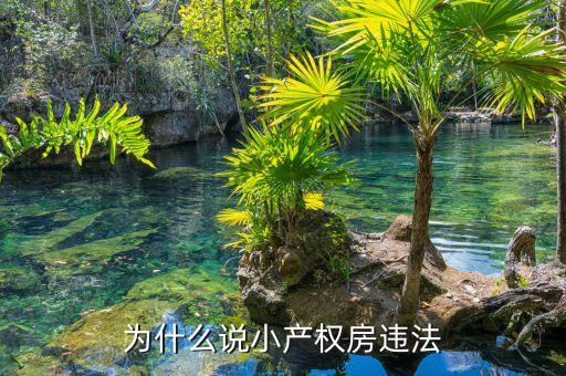 為什么小產(chǎn)權(quán)房不合法，為什么說小產(chǎn)權(quán)房違法