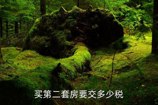 買第2套新普通住房需要交什么稅，購買第二套住房需要交什么稅