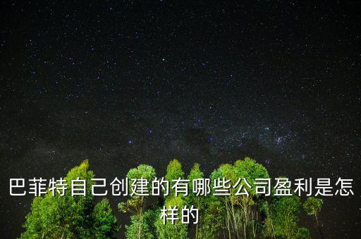 巴菲特是想收購中國的什么公司，巴菲特自己創(chuàng)建的有哪些公司盈利是怎樣的