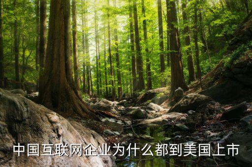 為什么互聯(lián)網(wǎng)公司在美國(guó)上市，中國(guó)互聯(lián)網(wǎng)企業(yè)為什么都到美國(guó)上市