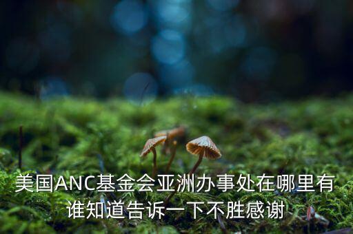 美國ANC基金會(huì)亞洲辦事處在哪里有誰知道告訴一下不勝感謝