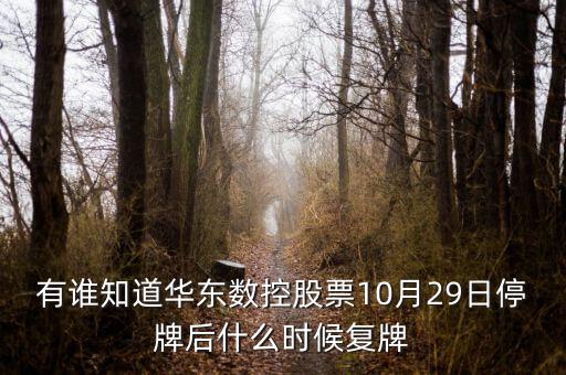 002248什么時候復牌，有誰知道華東數(shù)控股票10月29日停牌后什么時候復牌