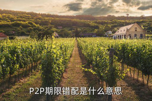 什么是久期錯配，什么是期限錯配