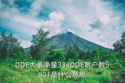 DDE大單凈量333DDE散戶數(shù)5801是什么意思