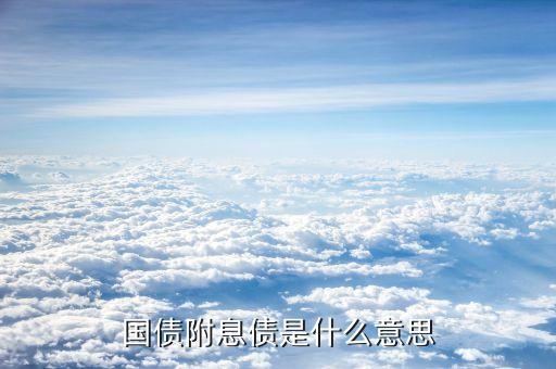 國債附息債是什么意思