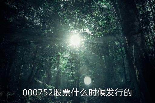 九泰銳富什么時候發(fā)行，000752股票什么時候發(fā)行的