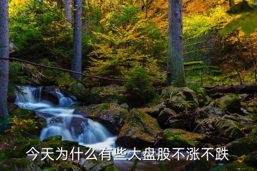 為什么大盤不漲不跌，大盤為什么不會漲停會不會跌停