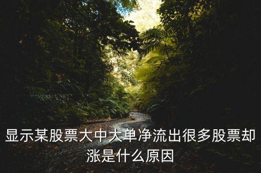 凈大單流出多說(shuō)明什么，凈流出特別是大單流出超大這意味著什么