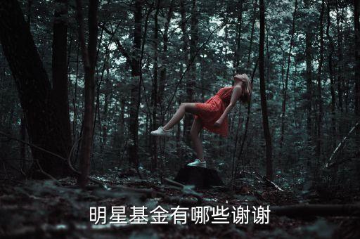 王健林有什么基金，明星基金有哪些謝謝