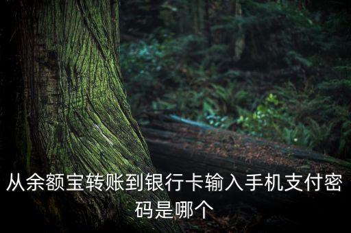 從余額寶轉賬到銀行卡輸入手機支付密碼是哪個