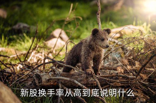 換手率高說(shuō)明什么新股，新股換手率高說(shuō)明什么