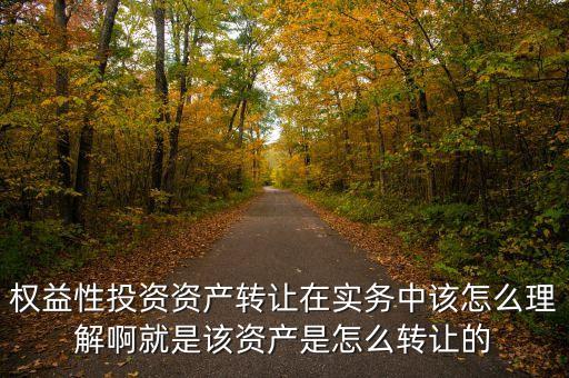 權(quán)益性投資資產(chǎn)轉(zhuǎn)讓在實務(wù)中該怎么理解啊就是該資產(chǎn)是怎么轉(zhuǎn)讓的