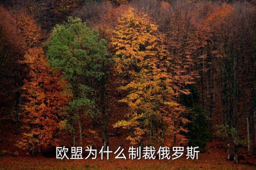 歐盟為什么對俄羅斯制裁，歐盟為什么制裁俄羅斯