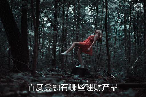 百度有什么理財(cái)產(chǎn)品，百度金融有哪些理財(cái)產(chǎn)品