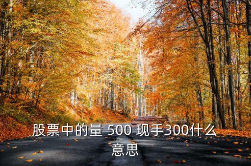 股票中的量 500 現(xiàn)手300什么意思