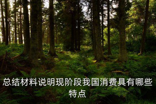 從材料的數(shù)據(jù)中反映了當前消費的什么特點，總結材料說明現(xiàn)階段我國消費具有哪些特點