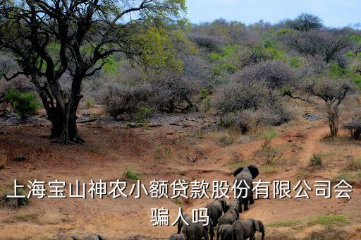上海神農小額貸款公司經(jīng)理叫什么，上海寶山神農小額貸款股份有限公司會騙人嗎