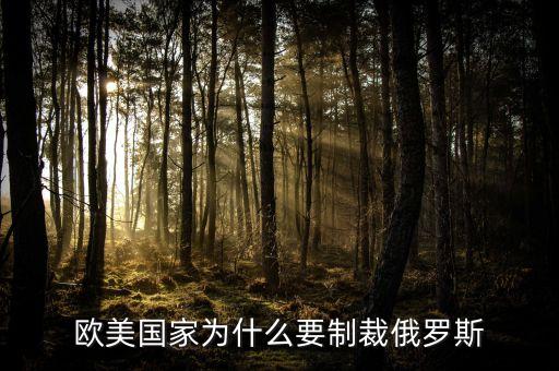 歐美國(guó)家為什么要制裁俄羅斯