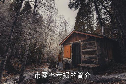 市盈率虧損的簡(jiǎn)介