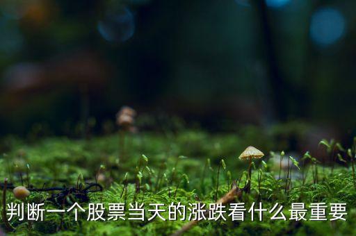 判斷一個股票當(dāng)天的漲跌看什么最重要