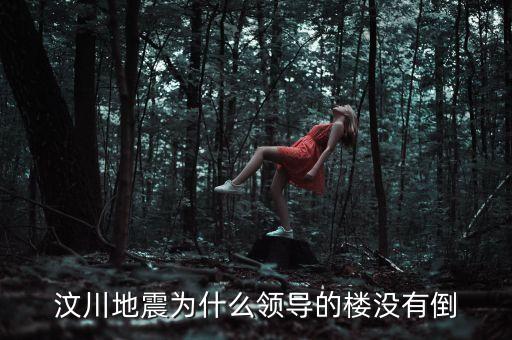 汶川地震為什么領(lǐng)導(dǎo)的樓沒(méi)有倒