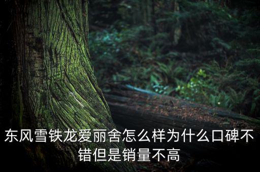 東風(fēng)雪鐵龍愛(ài)麗舍怎么樣為什么口碑不錯(cuò)但是銷(xiāo)量不高