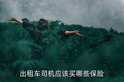 出租車司機買什么保險，出租車司機應(yīng)該買什么保險哪些保險比較適合