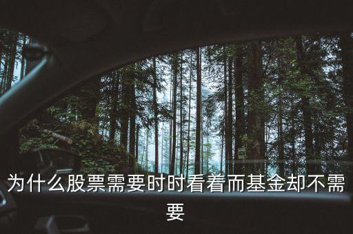 為什么股票需要時(shí)時(shí)看著而基金卻不需要