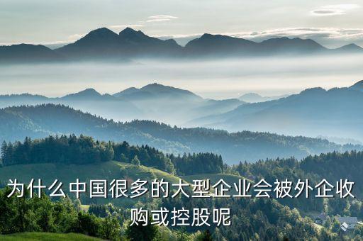 中國產(chǎn)業(yè)為什么外資真的控制，為什么中國很多的大型企業(yè)會(huì)被外企收購或控股呢